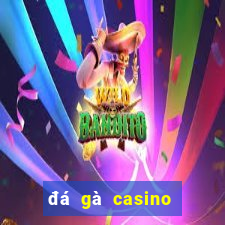 đá gà casino đá gà casino