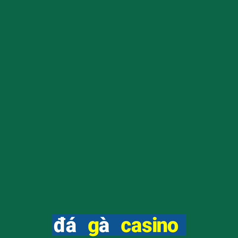 đá gà casino đá gà casino