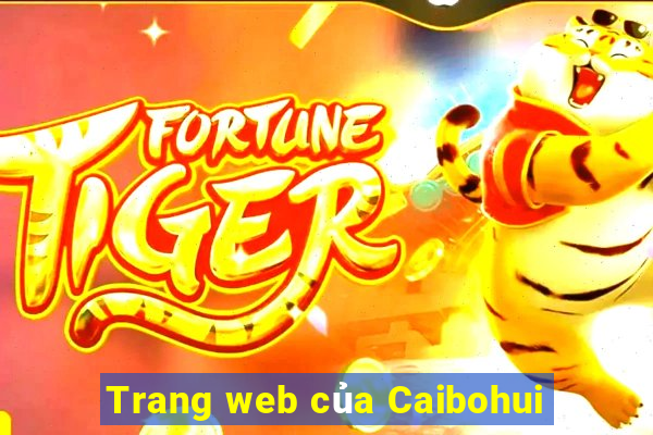 Trang web của Caibohui