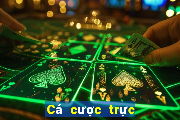 Cá cược trực tuyến nova88