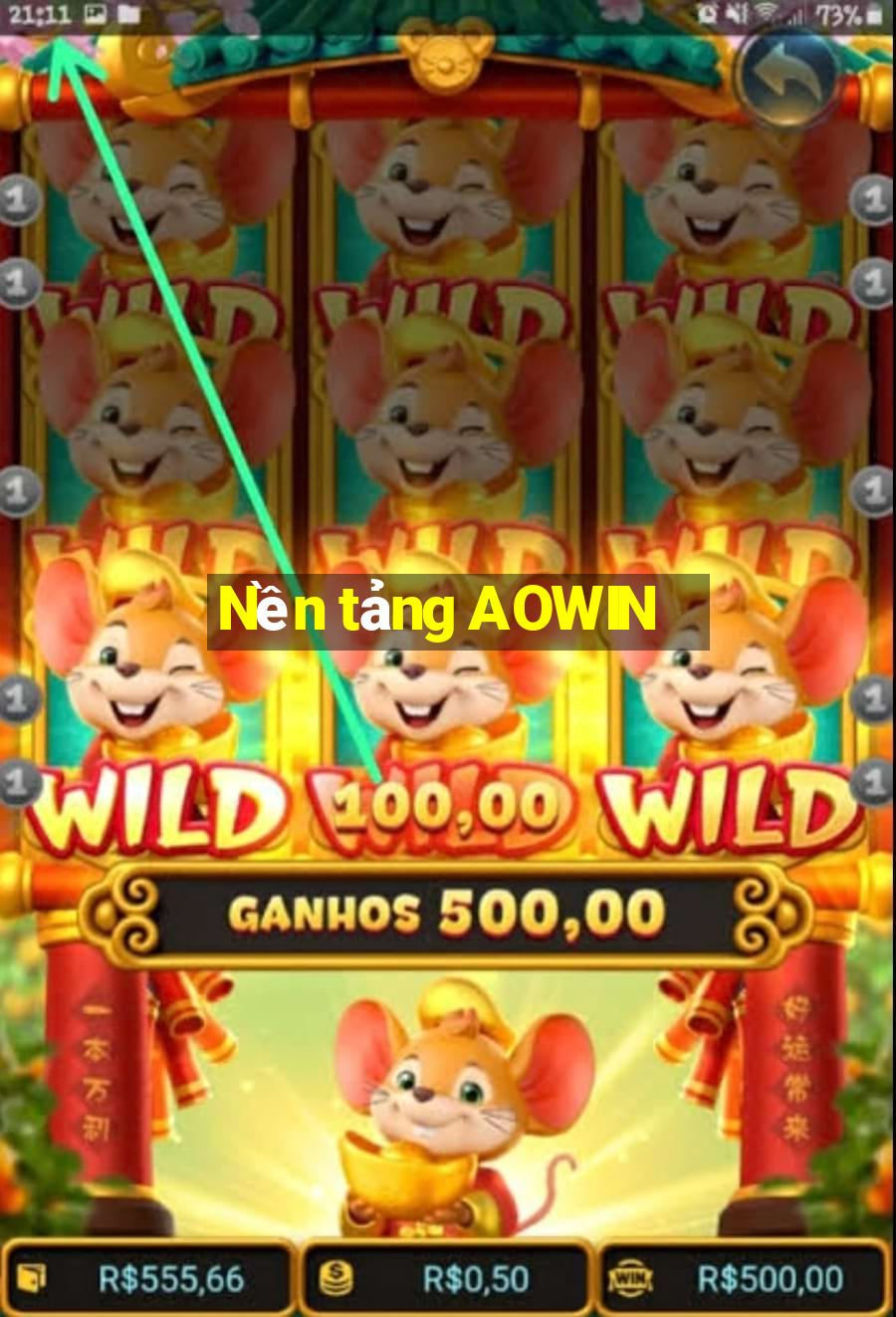 Nền tảng AOWIN