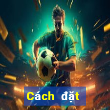 Cách đặt cược XSCM ngày 7