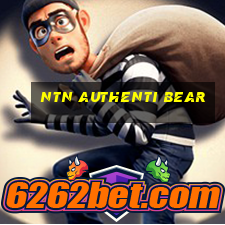 ntn authenti bear