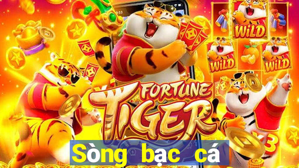 Sòng bạc cá cược Việt nam