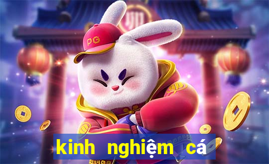 kinh nghiem ca do bong da