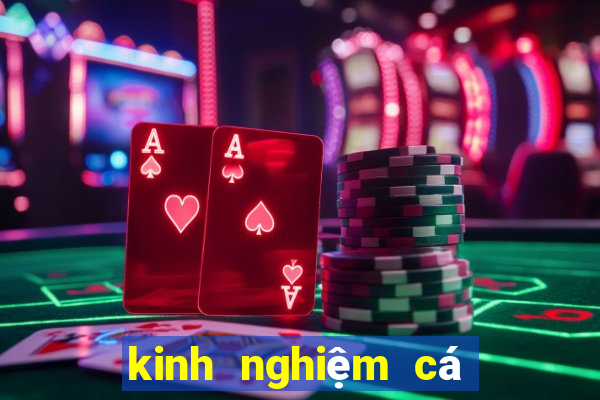 kinh nghiem ca do bong da