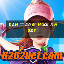 dàn đề 20 số nuôi 3 ngày