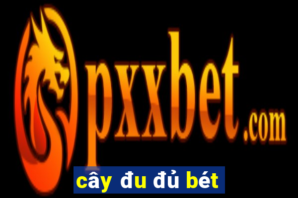 cây đu đủ bét