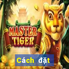 Cách đặt cược XSHP ngày 29