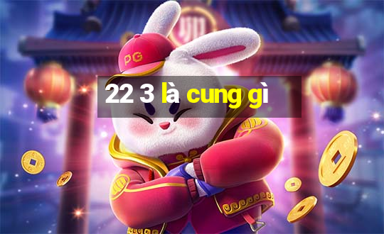 22 3 là cung gì