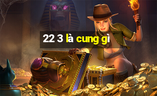 22 3 là cung gì