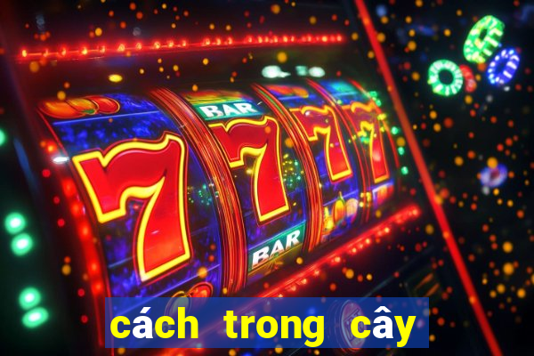 cách trong cây đuôi chuột