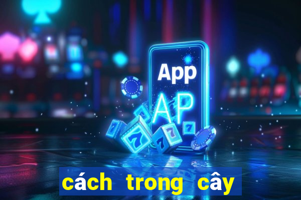 cách trong cây đuôi chuột