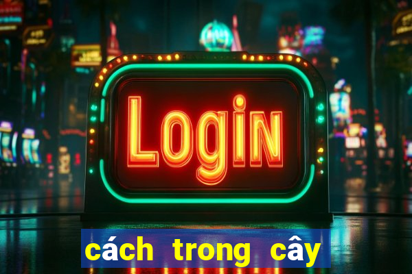 cách trong cây đuôi chuột