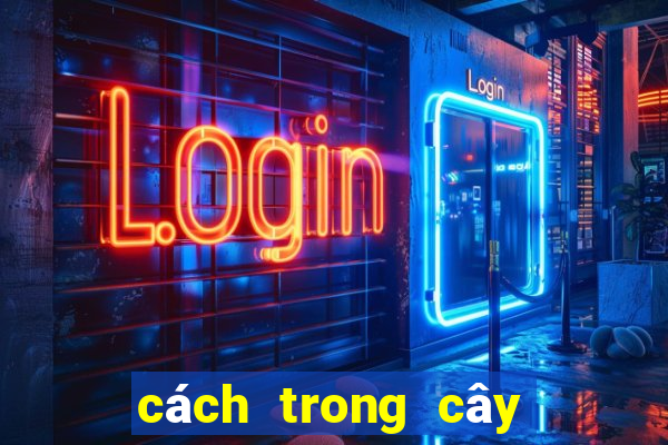 cách trong cây đuôi chuột