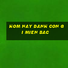 hom nay danh con gi mien bac