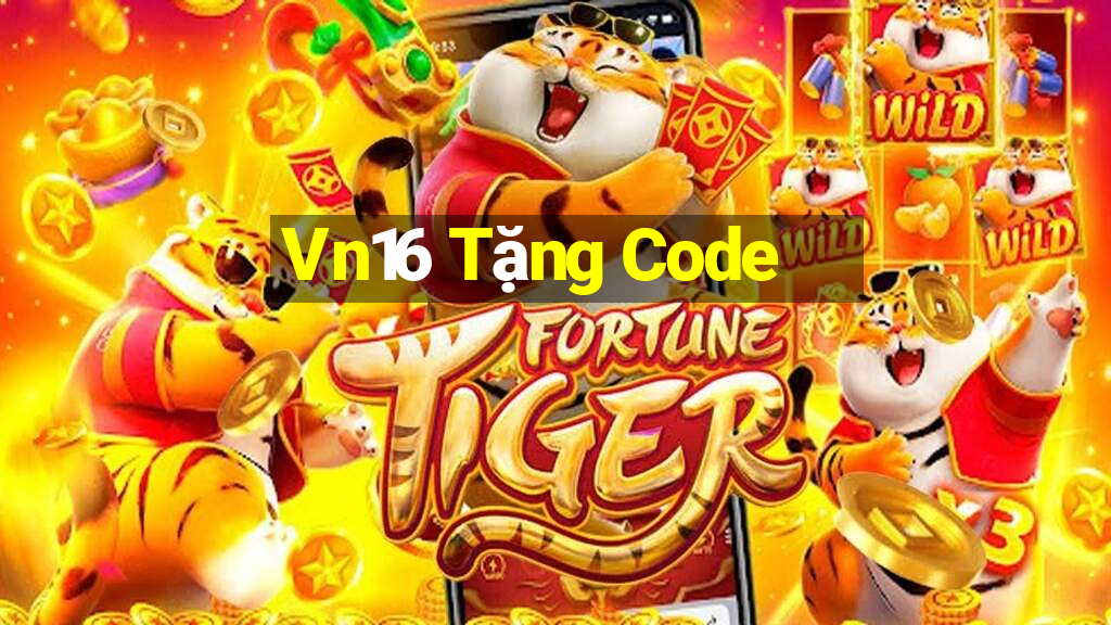 Vn16 Tặng Code