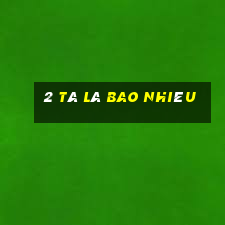 2 tá là bao nhiêu