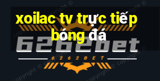 xoilac tv trực tiếp bóng đá