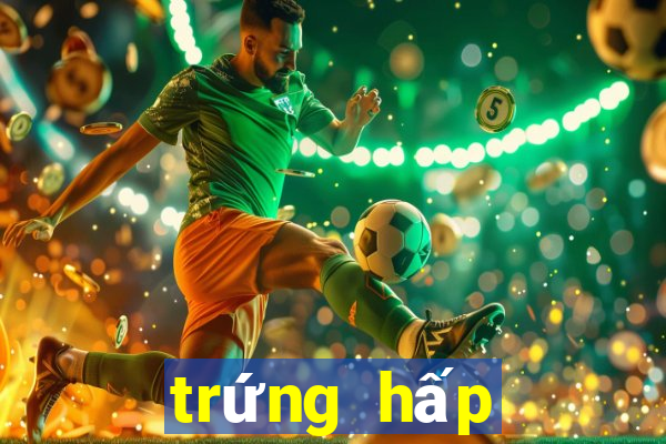 trứng hấp đậu hũ non