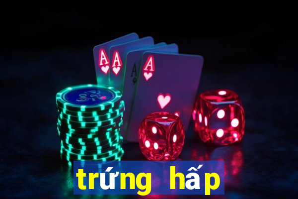 trứng hấp đậu hũ non