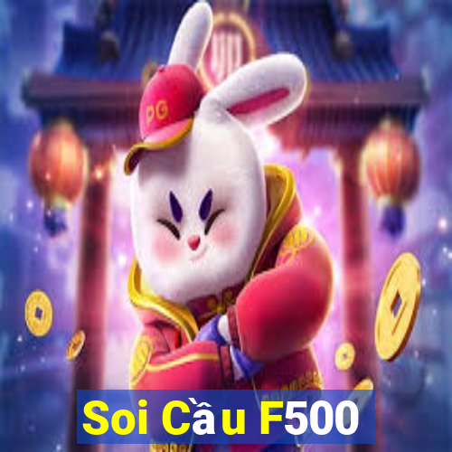 Soi Cầu F500