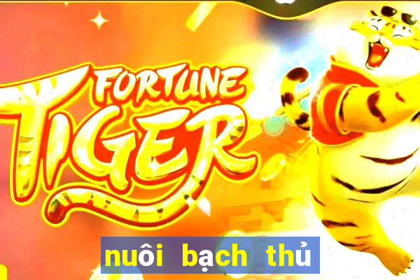 nuôi bạch thủ khung 3 ngày