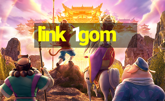 link 1gom