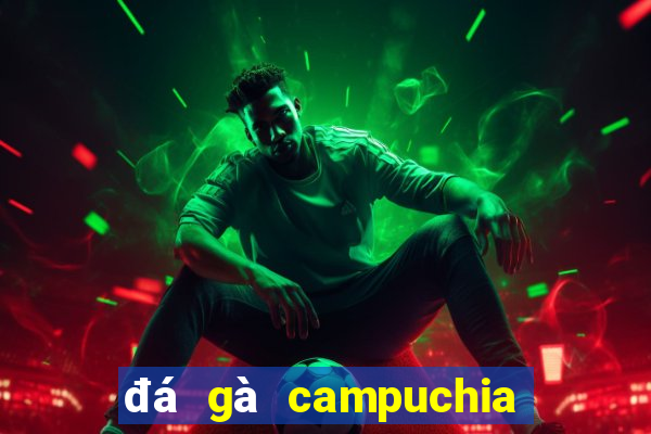 đá gà campuchia 2024 mới nhất