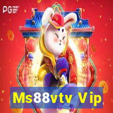 Ms88vtv Vip