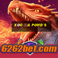 Xóc Đĩa Pond's