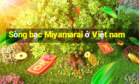 Sòng bạc Miyamarai ở Việt nam