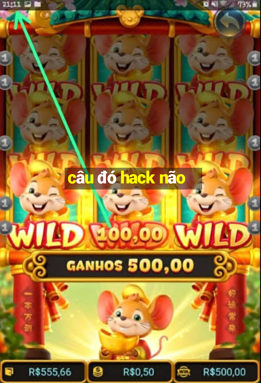 câu đó hack não