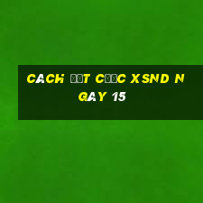 Cách đặt cược XSND ngày 15