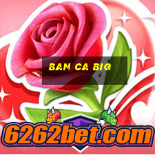 ban ca big