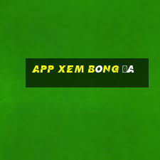 app xem bóng đá