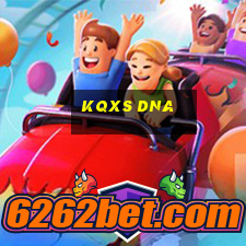 kqxs dna