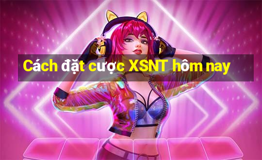 Cách đặt cược XSNT hôm nay