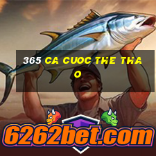 365 ca cuoc the thao