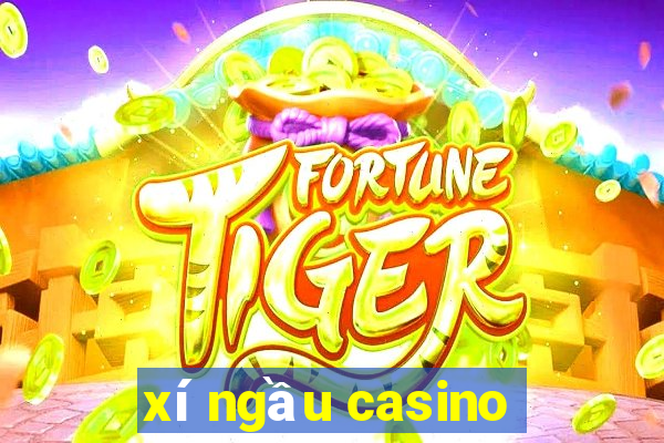 xí ngầu casino