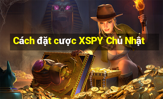 Cách đặt cược XSPY Chủ Nhật