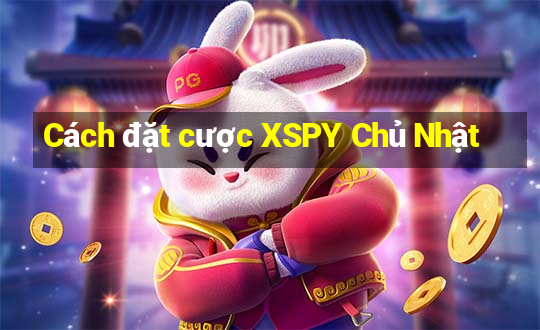 Cách đặt cược XSPY Chủ Nhật