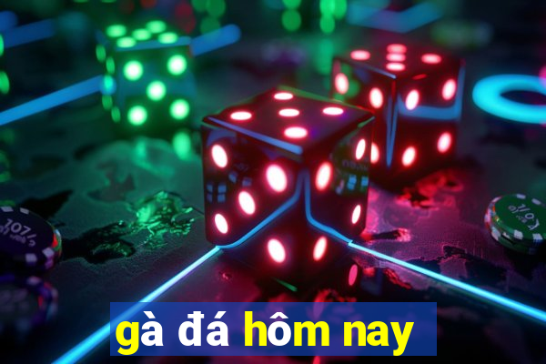 gà đá hôm nay