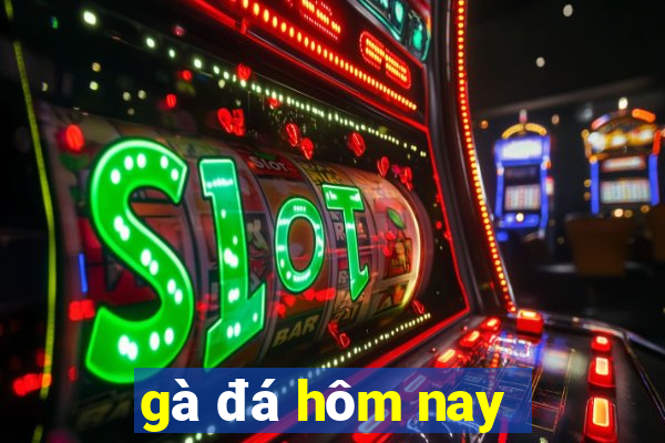 gà đá hôm nay