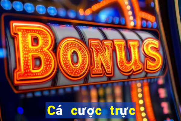 Cá cược trực tuyến 789bet