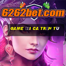 game đại ca trốn tù