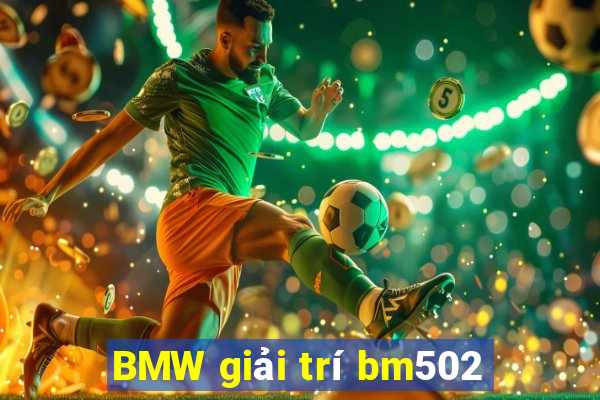 BMW giải trí bm502