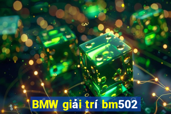 BMW giải trí bm502