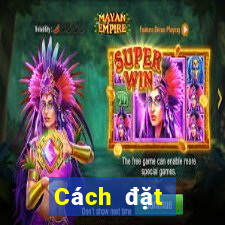 Cách đặt cược XSKT ngày 23