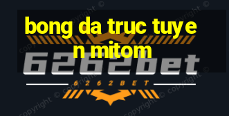 bong da truc tuyen mitom